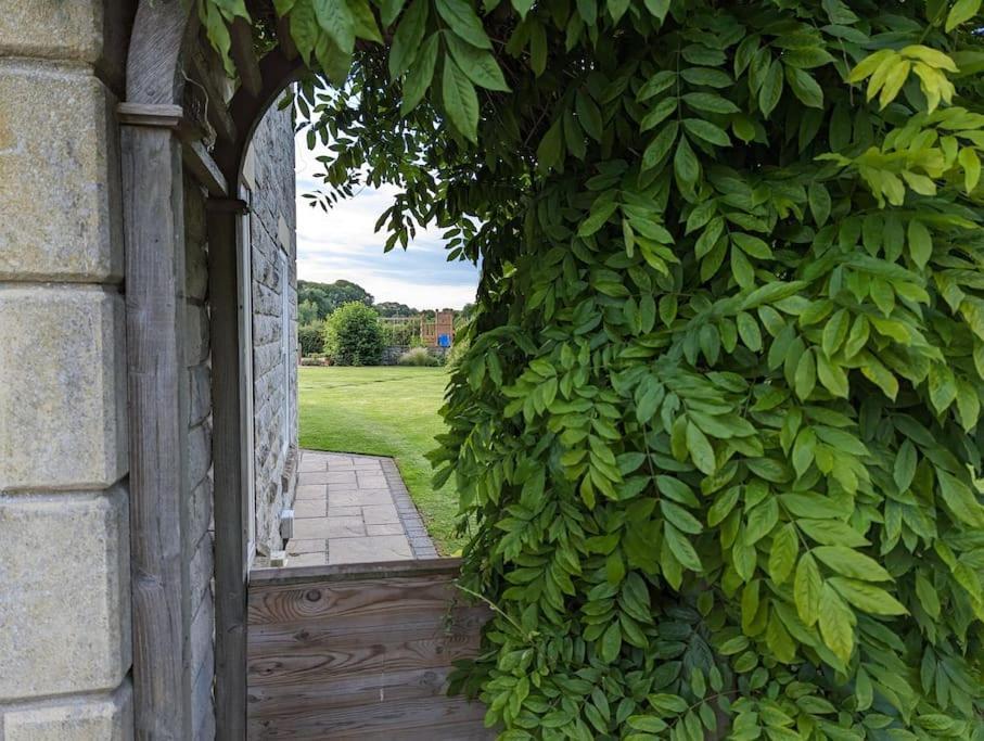 Millfield Cottage 요크 외부 사진